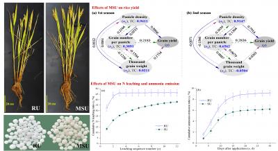 Novel Matrix-based Slow-Release Urea Improves Crop Production