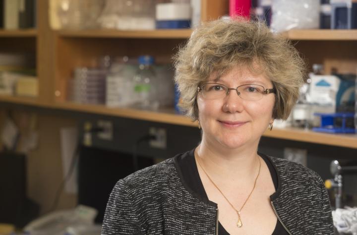 Eugenia Kharlampieva, University of Alabama at Birmingham