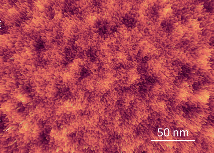 'Fruitcake' structure