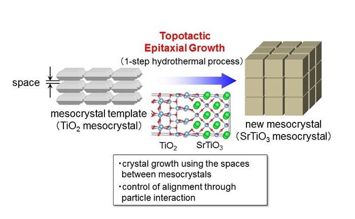 トポタクティックエピタキシャル成長によるSrTiO3メソ結晶の合成 