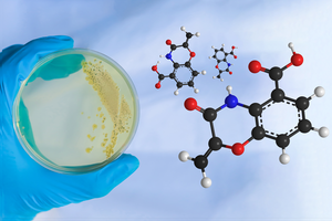 Illustration benzoxazolinate