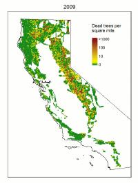 Dead Tree Map, 2009-2015, Anim [IMAGE] | EurekAlert! Science News Releases
