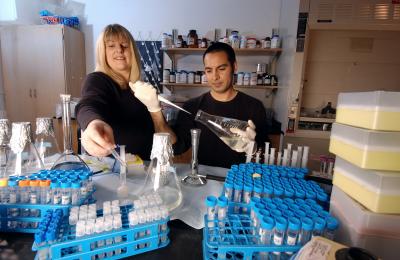 Graduate Students Study Bacteria That Converts Uranium Contamination