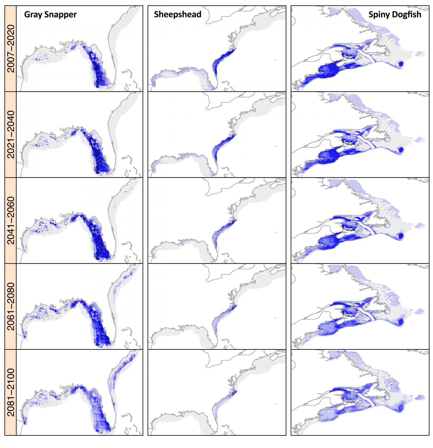 Scientists Predict How 686 Marine Species' Habitats May Shift in Response to Warming Seas