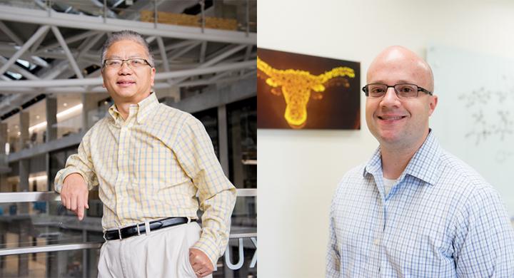 Alex Huang (L), Hal Alper (R), University of Texas at Austin
