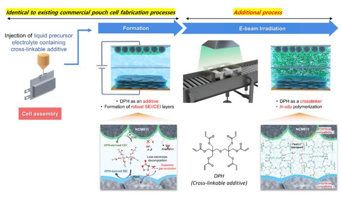 Schematic illustrating the fabrication of gel electrolytes induced by electron beam using bifunctional cross-linked additive.