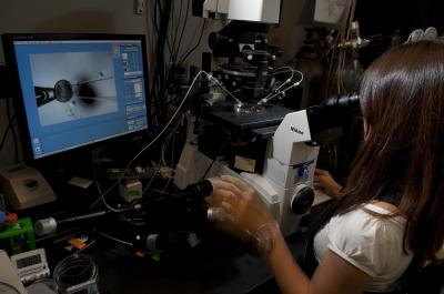 Kannika Siripattarapravat, Michigan State University