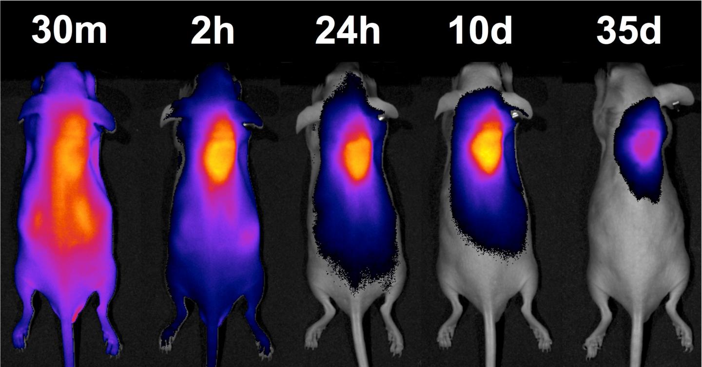 A Homing Beacon for Chemotherapy Drugs