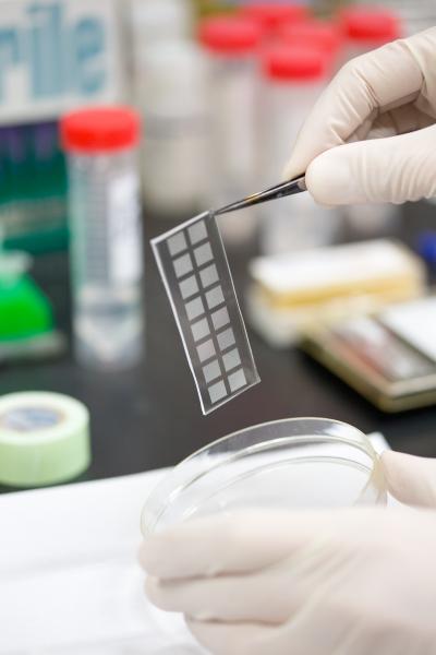 Single-Cell Genome Sequencing Improved