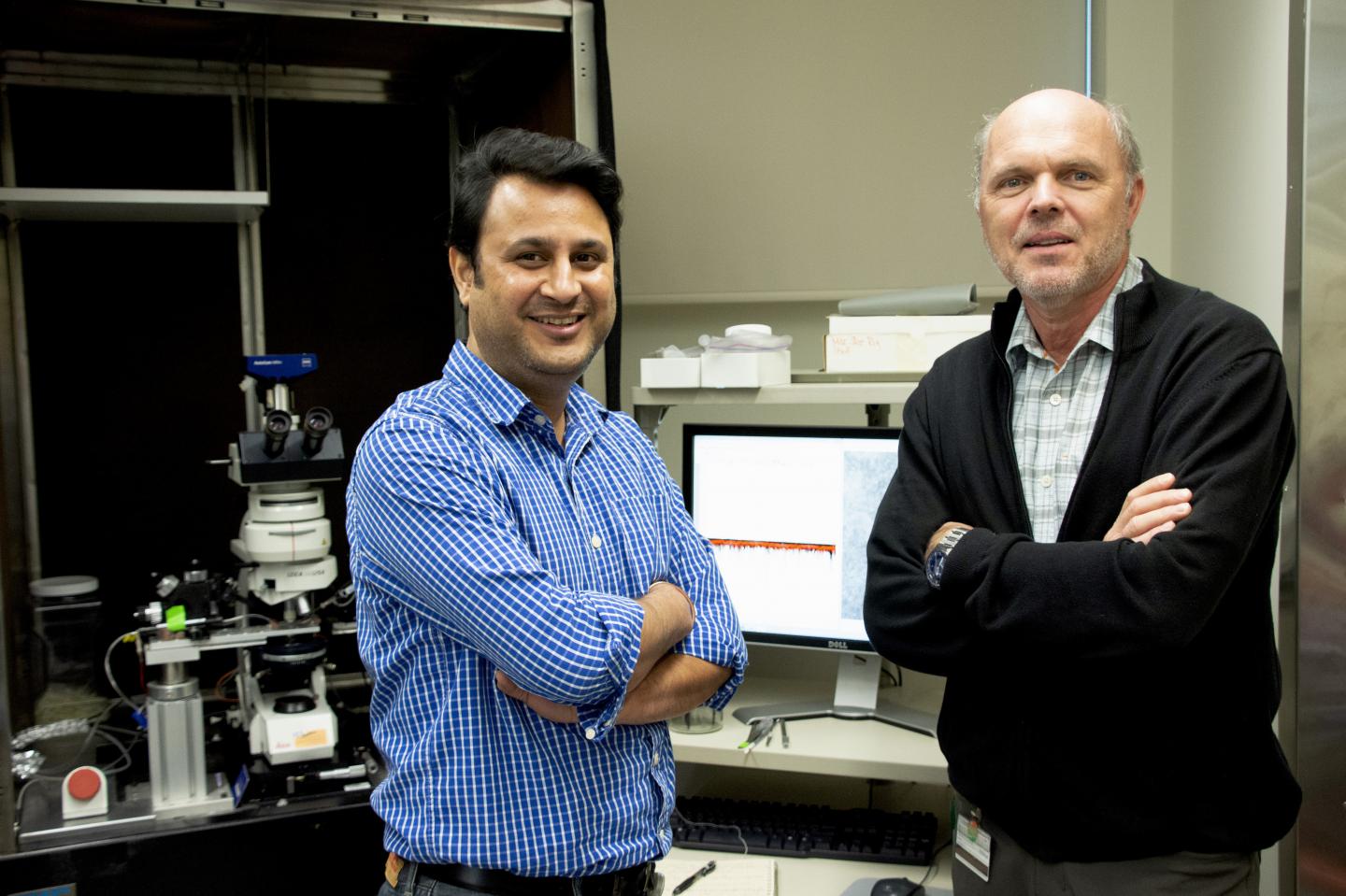 Bhanu Tewari and Harald Sontheimer, Ashley J. WennersHerron