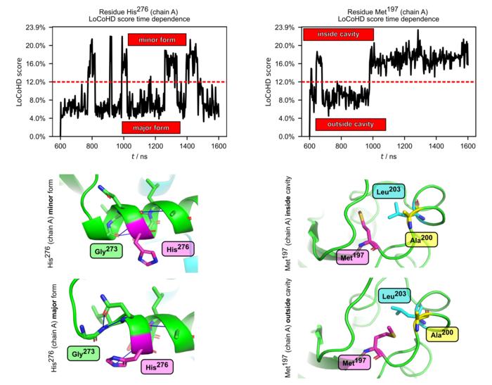 the LoCoHD curves (top graphs) and structures (bottom panels) of His276 and Met197 in podocin