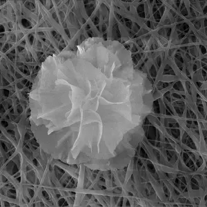 This delicate nanoflower is downright deadly to bacteria