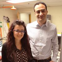 Caterina Lamuta and Sameh Tawfick, University of Illinois College of Engineering