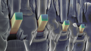 Colorized micropillars milled from a Zn single crystal before deformation.