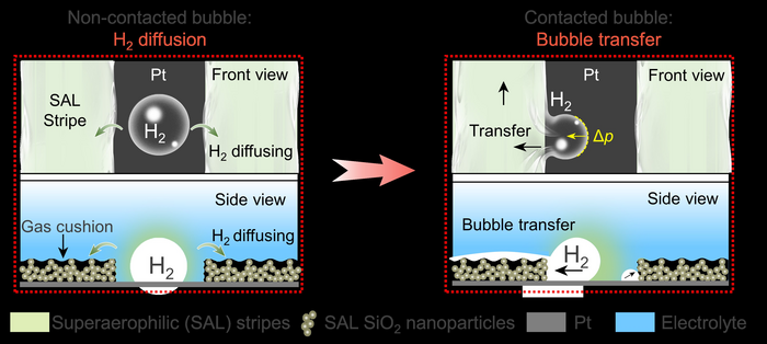 Schematic illustration of hydrogen transfer