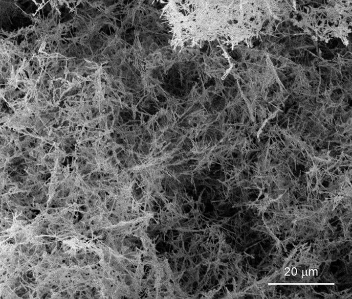 New, Simplified Technique for Metallic Palladium Nanofoams