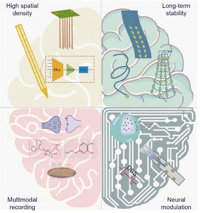 Directions in the development of intracortical neural interface technology.