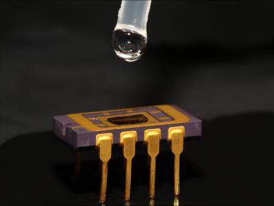 Sensor Chip
