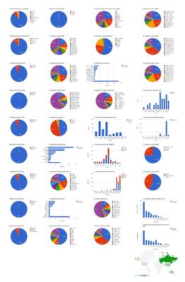 Dashboard Chart