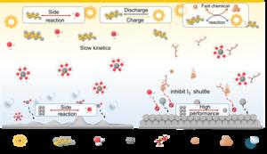 Schematic illustration of aqueous Zn-S battteries