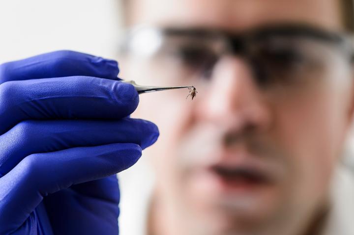 Matthew Aliota, University of Wisconsin-Madison