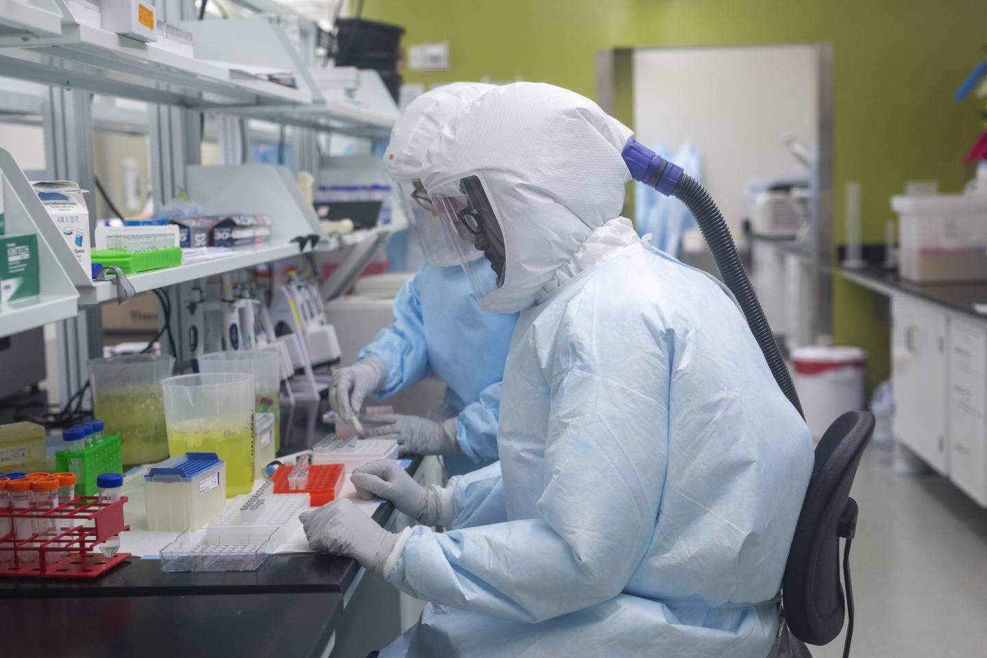 Researchers at USask's VIDO-InterVac