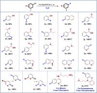 Table 1 Dechlorination of Aryl/Heteroaryl Chlorides a