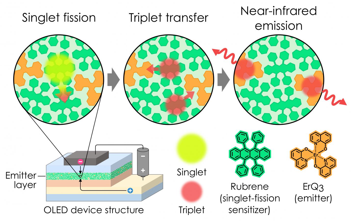 Singlet Fission