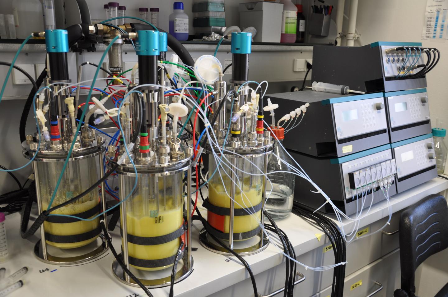 Bioreactor