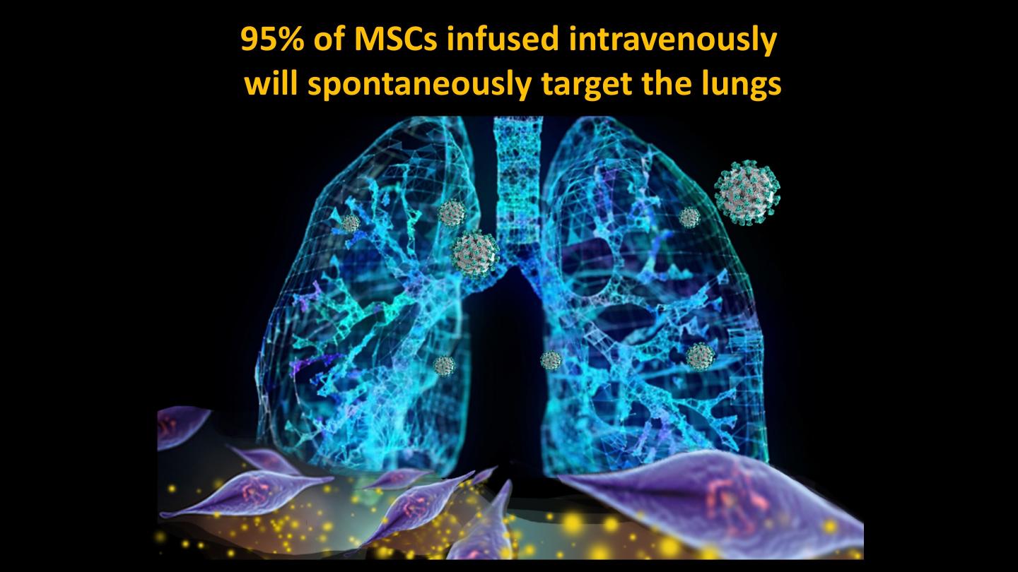 UC-MSCs migration