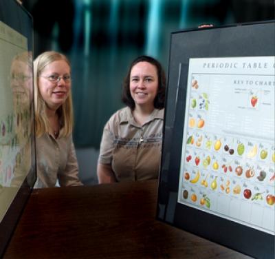 Stallmann-Jorgensen and Barbeau, Medical College of Georgia 1 (of 3)