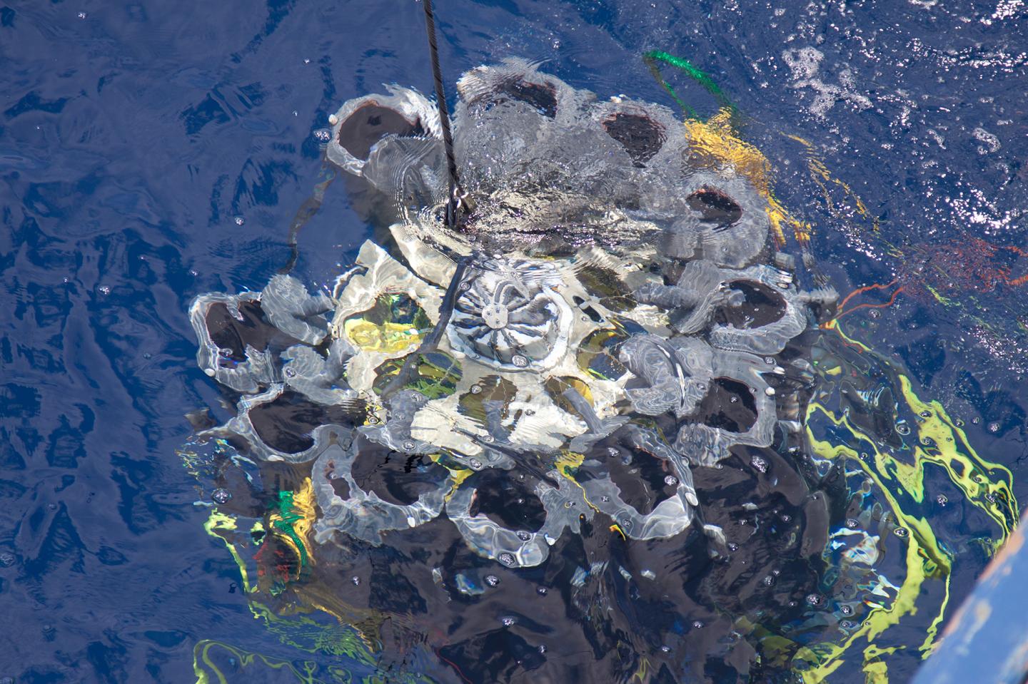 Bacteria Collector Descends to Oxygen Minimal Zone