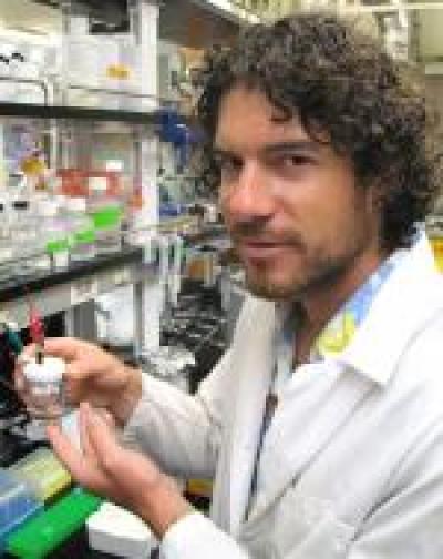 Vallée-Bélisle, University of California - Santa Barbara