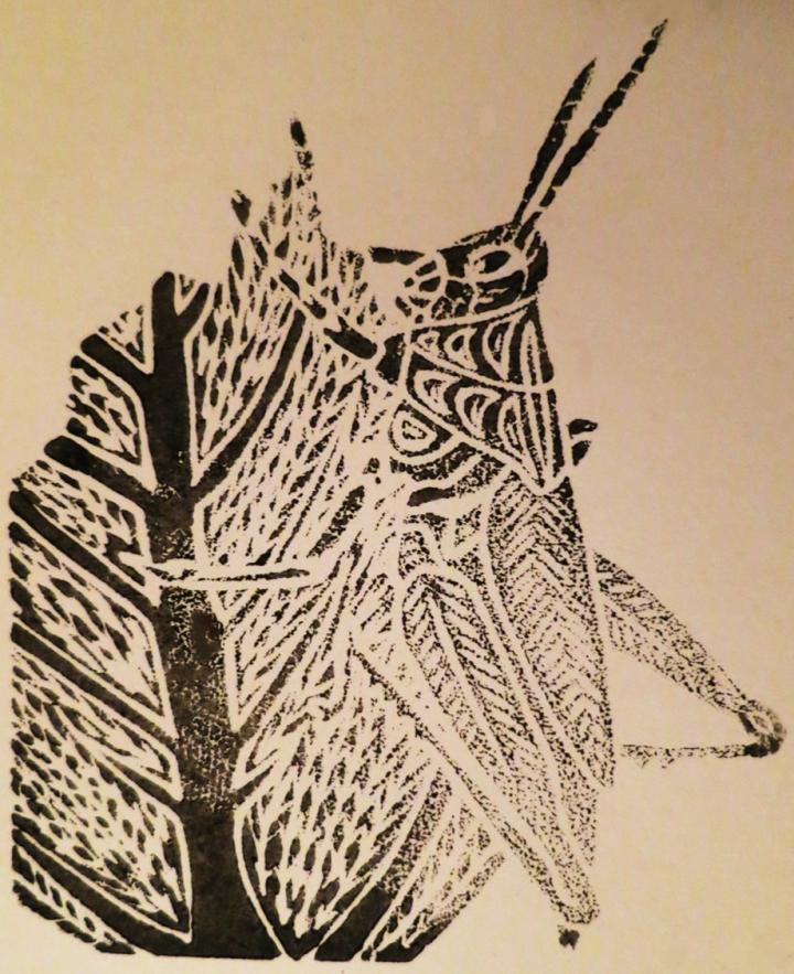 Block print of a Showy grasshopper (Hesperotettix speciosa).