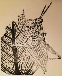 Block print of a Showy grasshopper (Hesperotettix speciosa).