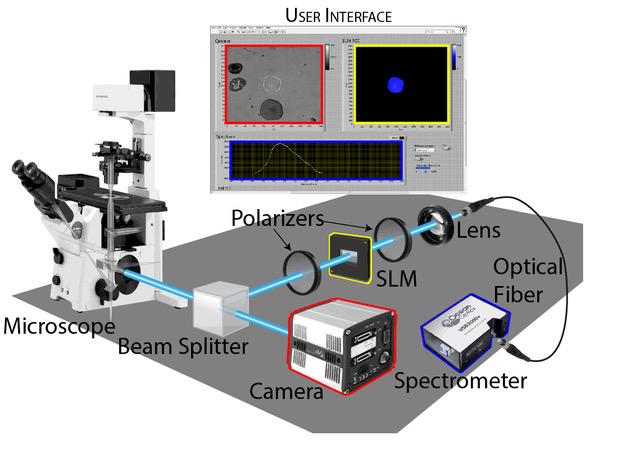 Spectroscopy of Selected Regions of a Microscope Sample