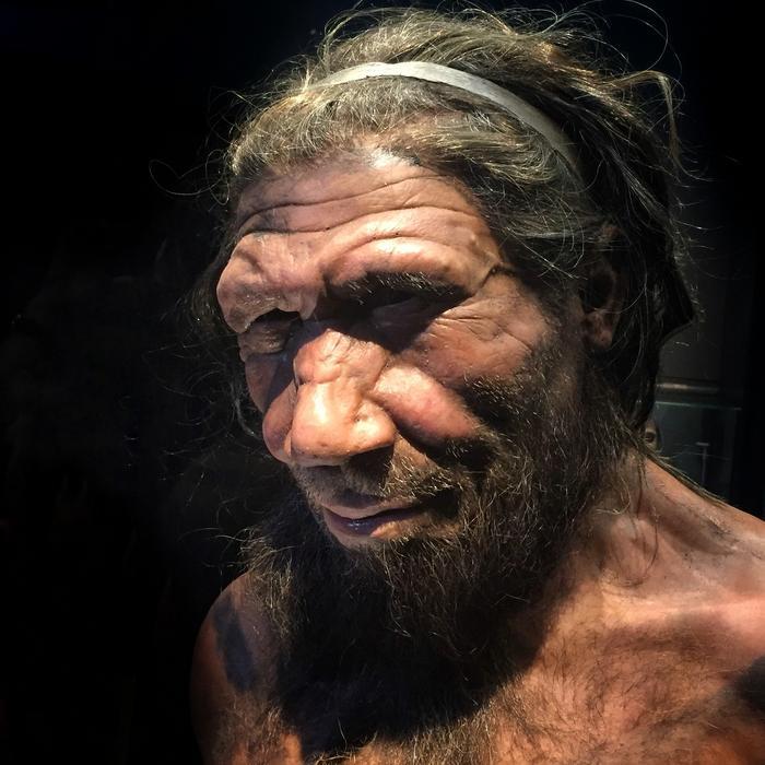 Life appearance of a male Neanderthal