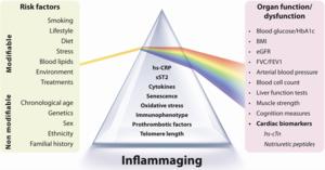 Integrating cardiovascular risk biomarkers in the context of inflammaging