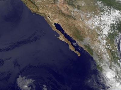 GOES Satellite Image of a Fading Celia