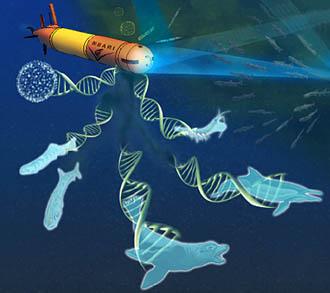 Using Environmental DNA to Understand Marine Biodiversity