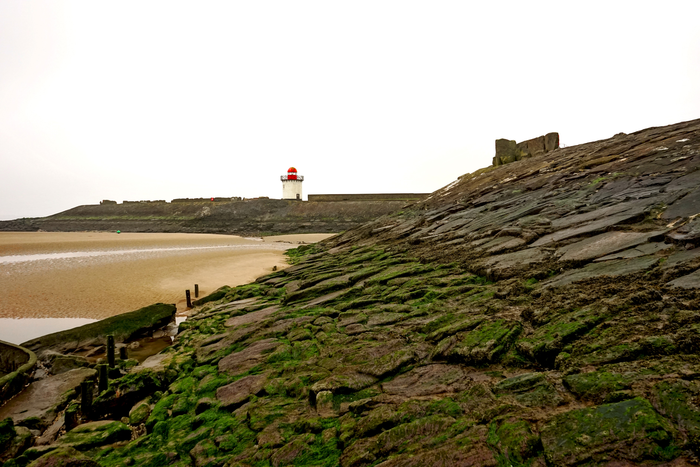 South Wales coastline - research shows diversity of species at coast improves wellbeing