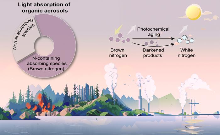 The schematic shows the light absorption of organic aerosols