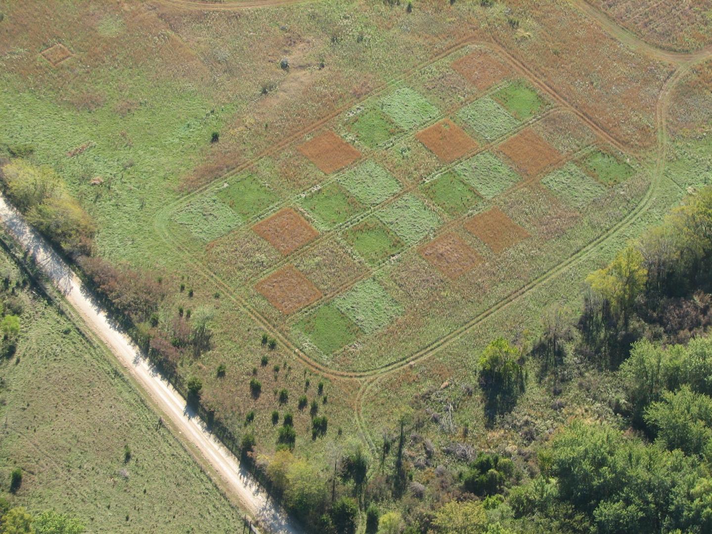 Overhead View of LTREB Experiment at KU Field Station
