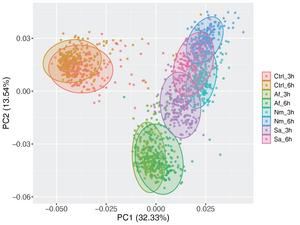 Transcriptional Responses to Pathogens