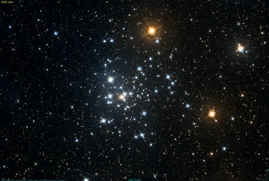 Meet NGC 2516, the 500-parsec-long open cluster