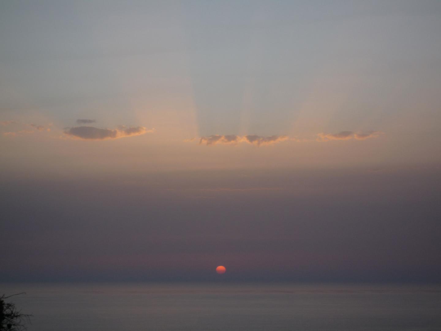 Biological Rhythms in Human Cells