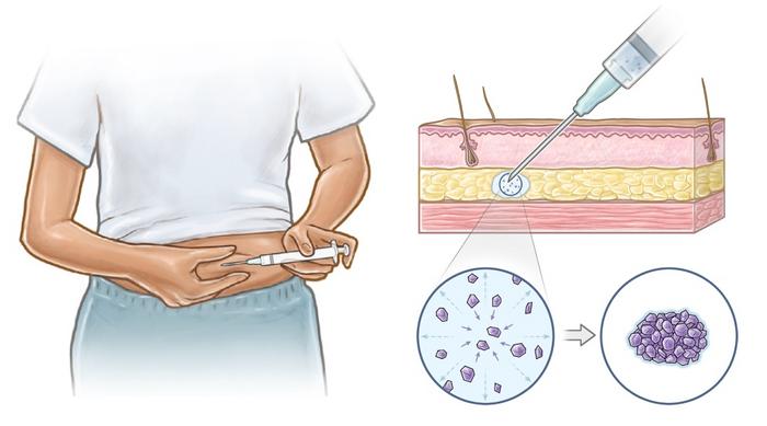 Graphical Abstract