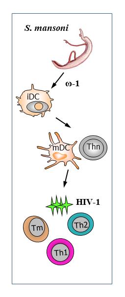 Helminthic Infections May Be Beneficial against HIV-1