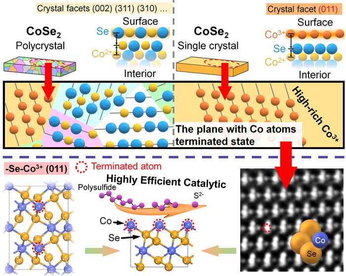 Newly designed surface high-performance matrix to boost Li-S battery performance