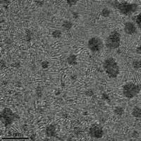 In-Situ TEM Observation of Nanocrystal Growth and Shape Evolution (2 of 2)